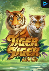 Bocoran RTP Slot Tiger Tiger Wild Life di ANDAHOKI