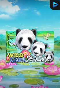 Bocoran RTP Slot Wild-Giant-Panda di ANDAHOKI